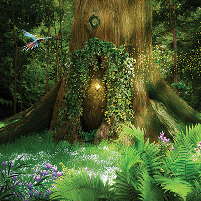 Enchanted Forest: Home Sweet Home