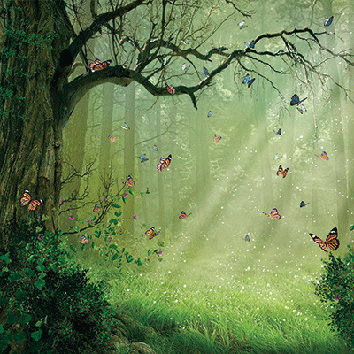 Enchanted Forest: Home Sweet Home