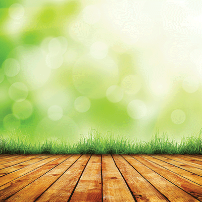 Easter Time: Easter Grass