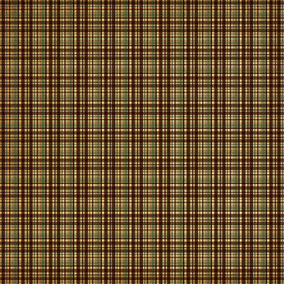 WS Expedition Destination: Expedition Destination