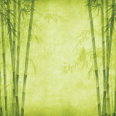 WS Everything Zen: Bamboo Forest