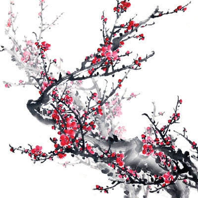 Everything Zen: Plum Blossom