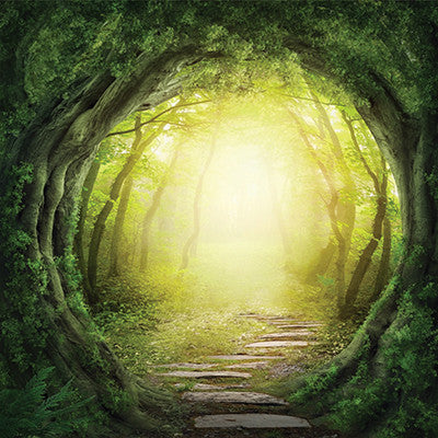 WS Fairy Forest: Enchanted Road