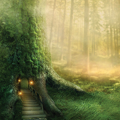 WS Fairy Forest: Twilight Magic