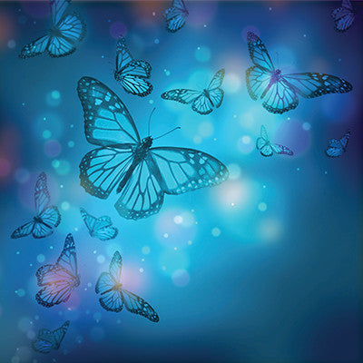 WS Fairy Forest: Wings of Enchantment