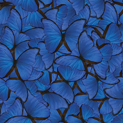 Fairy Forest: Wings of Enchantment