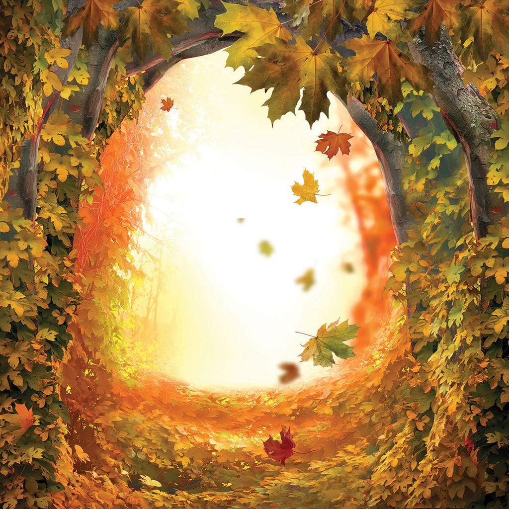 WS Fairy Forest 2: Into the Hollows