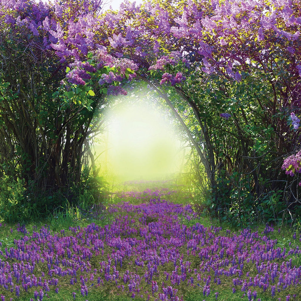 WS Fairy Forest 2: Into the Hollows