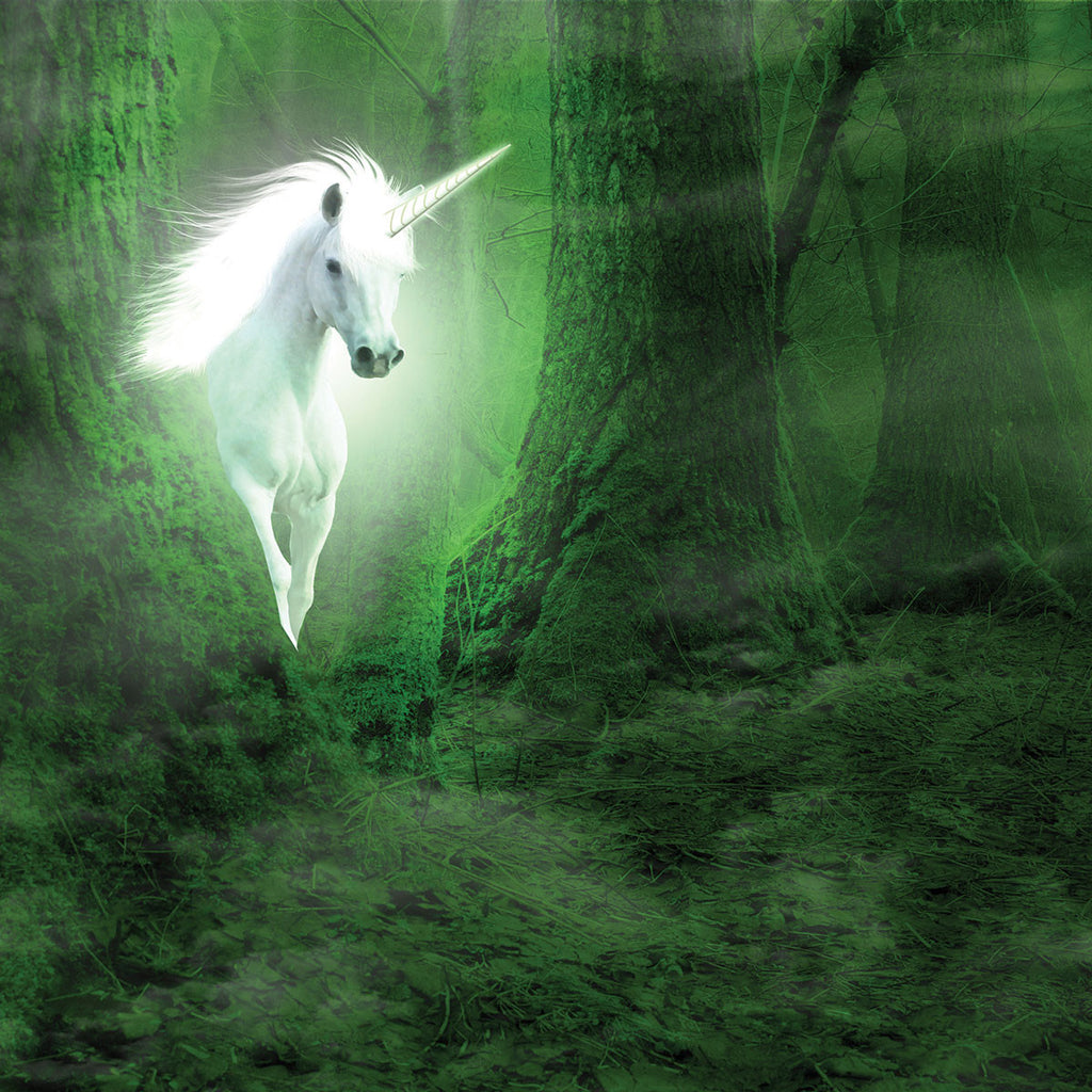 WS Fairy Forest 2: Mystery Forest