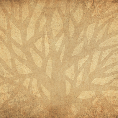 Family: Family Forever