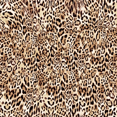 WS Fashion Week: Leopard