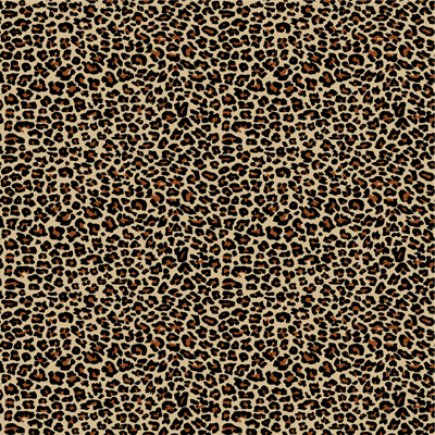 WS Fashion Week: Leopard