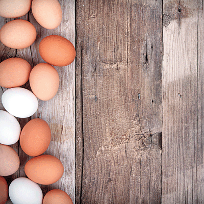 WS Farm Fresh: Big Red Barn