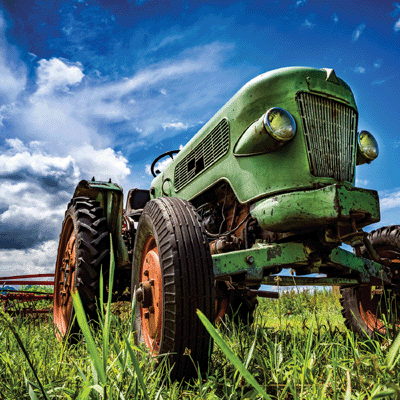 Farm Fresh: Hey Y'All