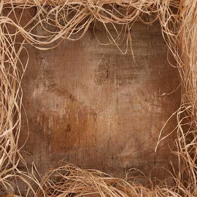 WS Farm Fresh: Hey Y'All