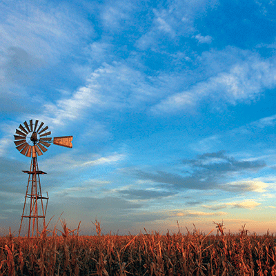 WS Farm Life: Windmill