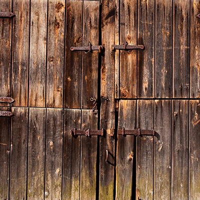 WS Farm Life: Field of Beans