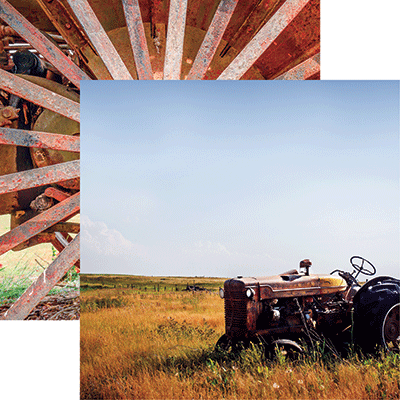 Farm Life: Out to Pasture