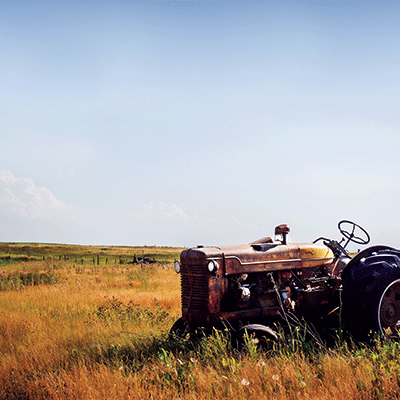 Farm Life: Out to Pasture
