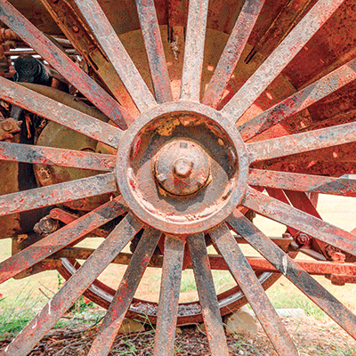 WS Farm Life: Out to Pasture