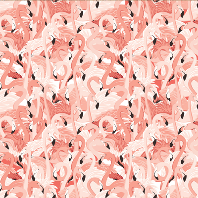 Florida: Pretty in Pink