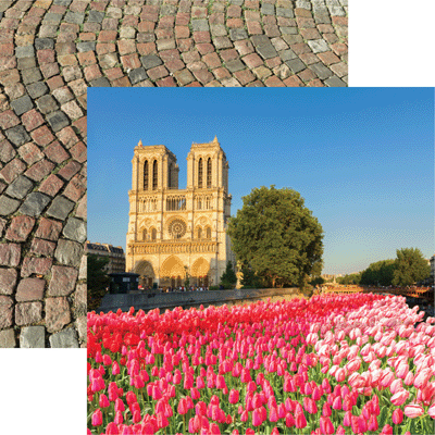 WS France: Notre Dame
