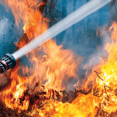 WS Firefighter: Wildfire