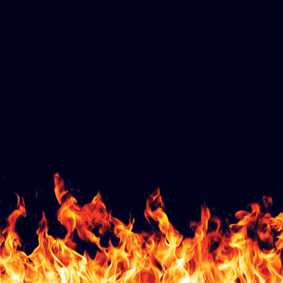 WS Firefighter: Flames