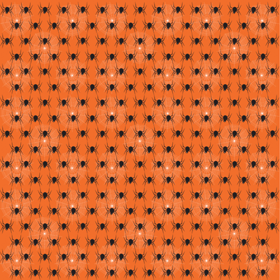 WS Fright Night: Spiders!