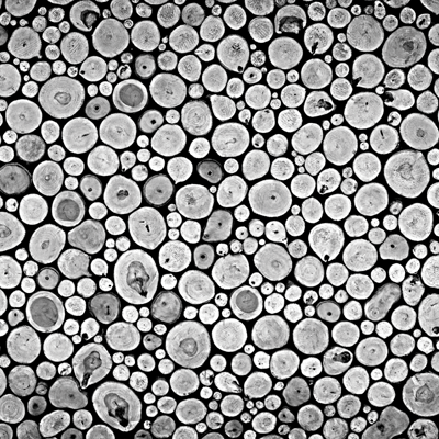 WS Family Story: Our Family