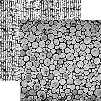 Family Story: Our Family