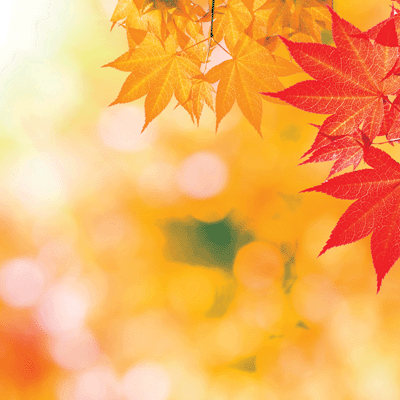 Glorious Autumn: Glorious Autumn