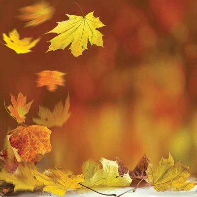 Glorious Autumn: Glorious Autumn