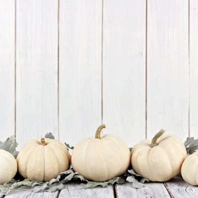 WS Glorious Autumn: Leaf Pile