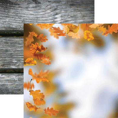 Glorious Autumn: Golden Fall