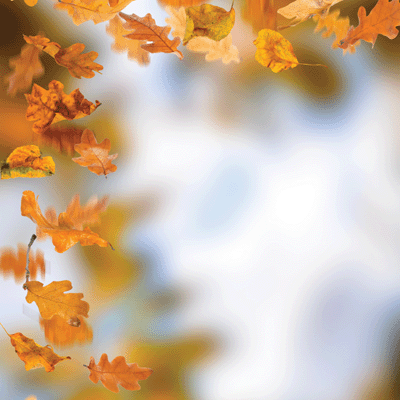 WS Glorious Autumn: Golden Fall