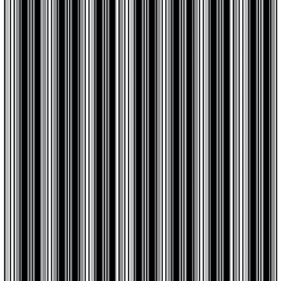 WS Game Day: Cheerleading: Cheer