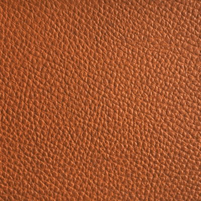 Game Day: Football: Football