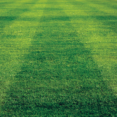 Game Day: Football: Stripes