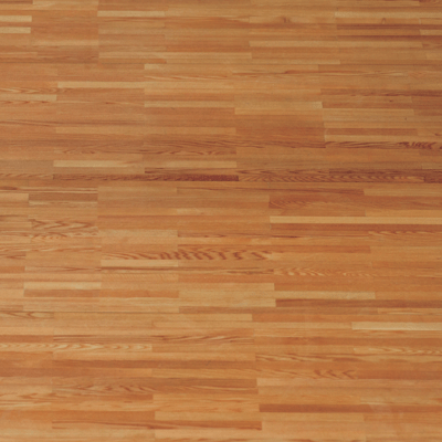 WS Game Day: Volleyball: Volleyball 1