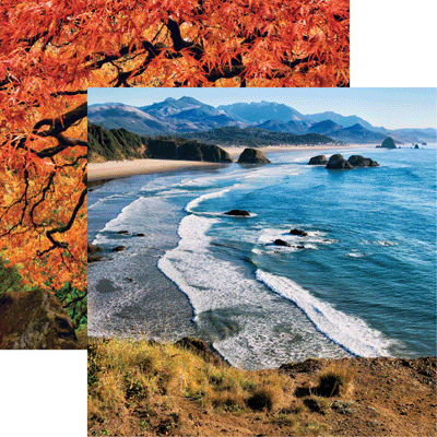 The Great Northwest: Oregon Coastline