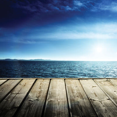 WS Gone Fishing: Fishing Paradise