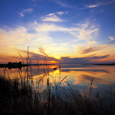 Gone Fishing: Fisherman's Dream