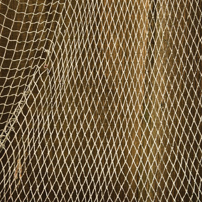 WS Gone Fishing: Lures Galore