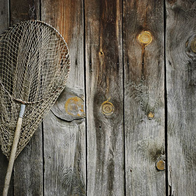 WS Gone Fishing: Let's Go Fishing