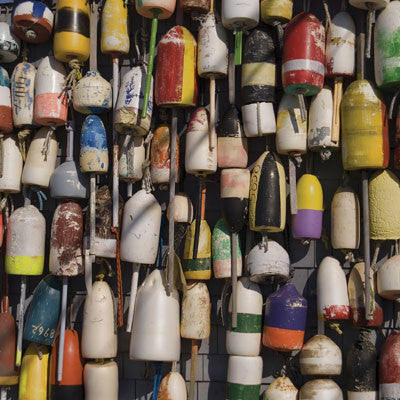 WS Gone Fishing: Let's Go Fishing