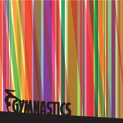 WS Gymnastics: Gymnastics