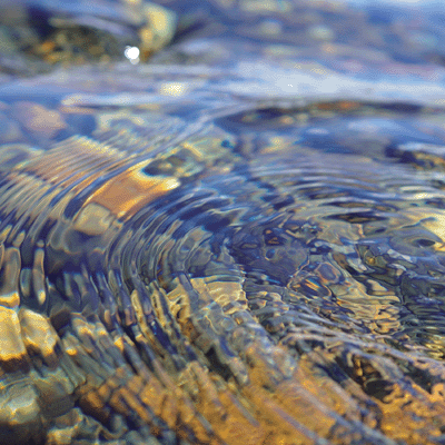 Happy Camper: Sunrise