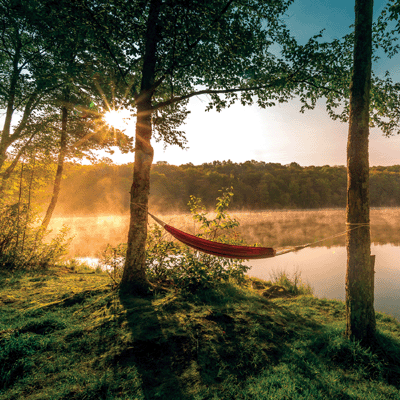 Happy Camper: Just Hangin' Around