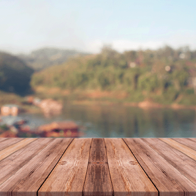 WS Happy Camper: Just Hangin' Around